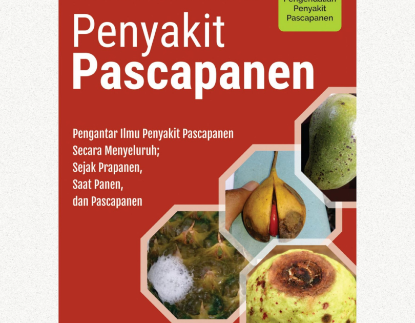 Penyakit Pascapanen