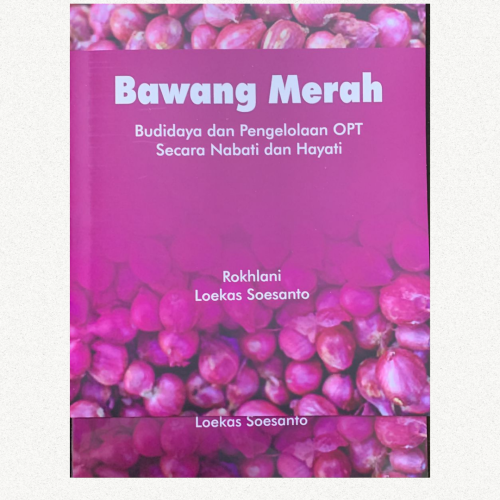 konten-buku-bawang-merah Bawang Merah