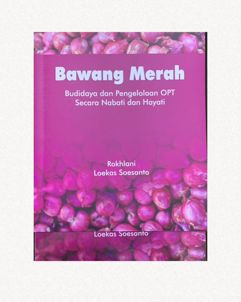 Bawang Merah