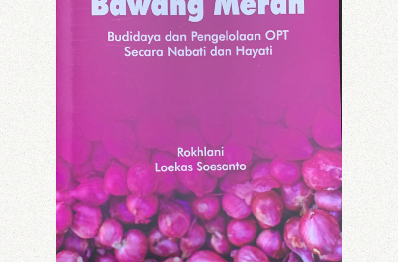 Bawang Merah