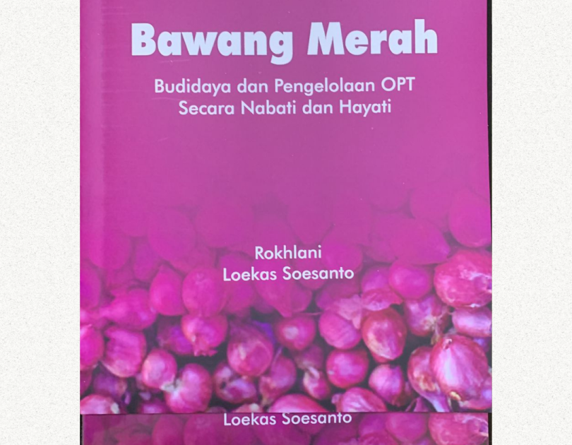 Bawang Merah