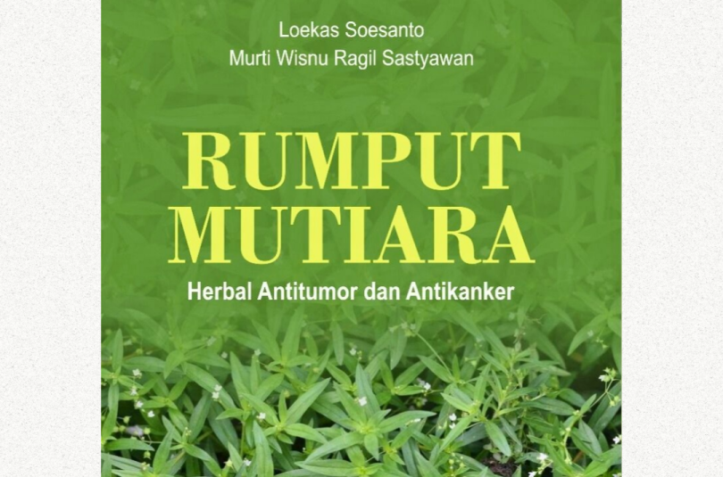Rumput Mutiara; Herbal Antitumor dan AntiKanker