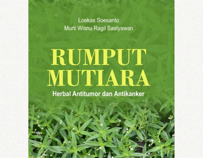 Rumput Mutiara; Herbal Antitumor dan AntiKanker