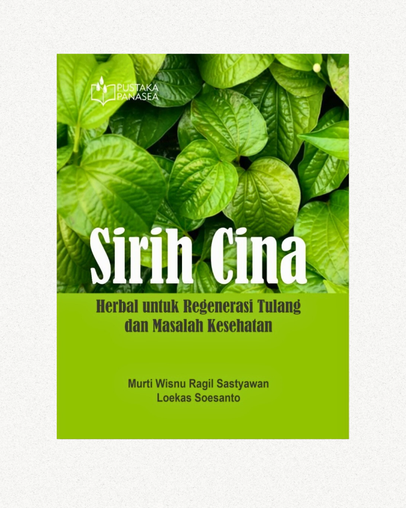 Sirih Cina; Herbal untuk Regenerasi Tulang dan Masalah Kesehatan
